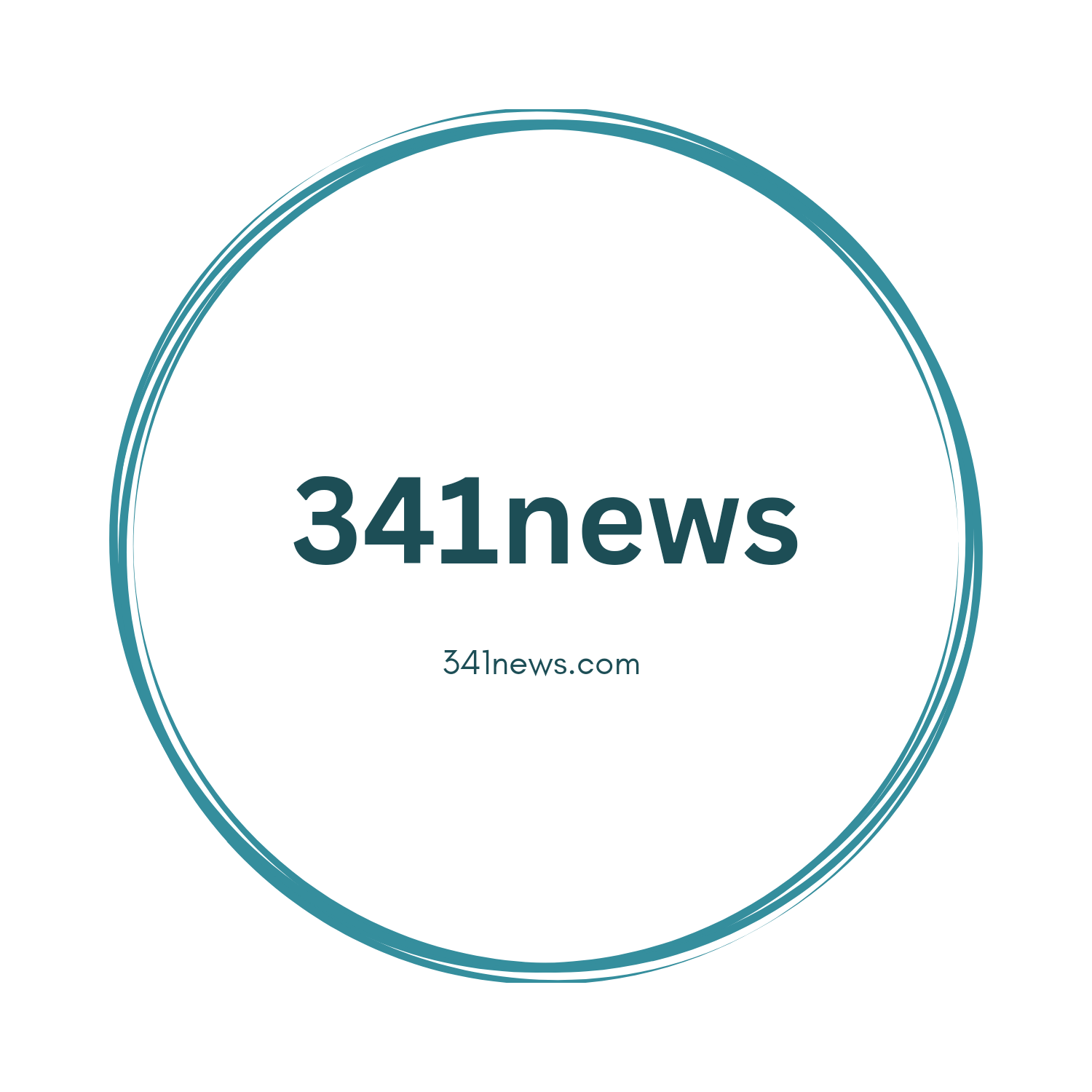 341news.com